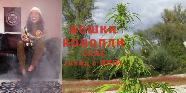 ГАЛЛЮЦИНОГЕННЫЕ ГРИБЫ Абаза
