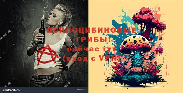 прущие крисы Алзамай