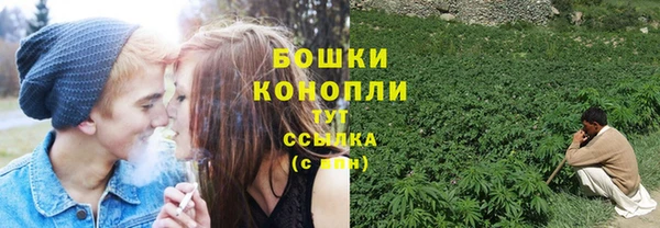 спайс Алексеевка