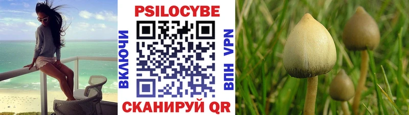 даркнет сайт  Пудож  Псилоцибиновые грибы Magic Shrooms 